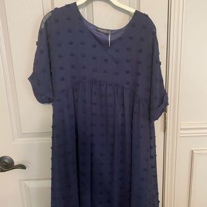 NWT Navy Swiss Dot Dress small